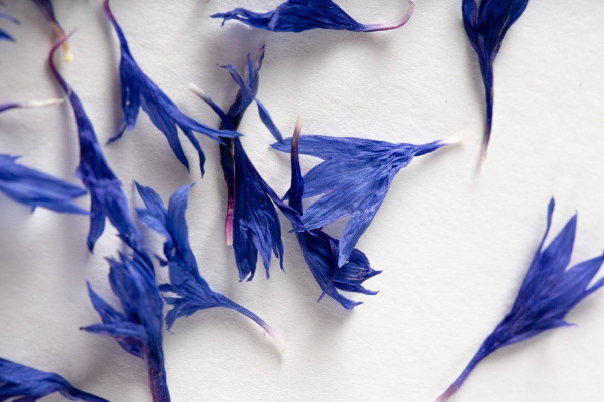 Cornflower Petals Blue Foraged Flavour Edible Flowers