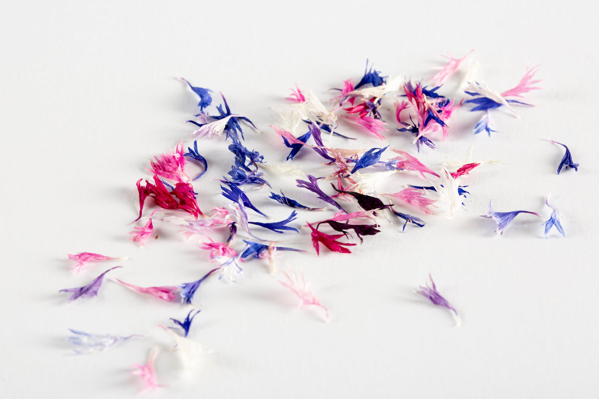 Dried Edible Cornflower Petals in Mixed Colours Foraged Flavour