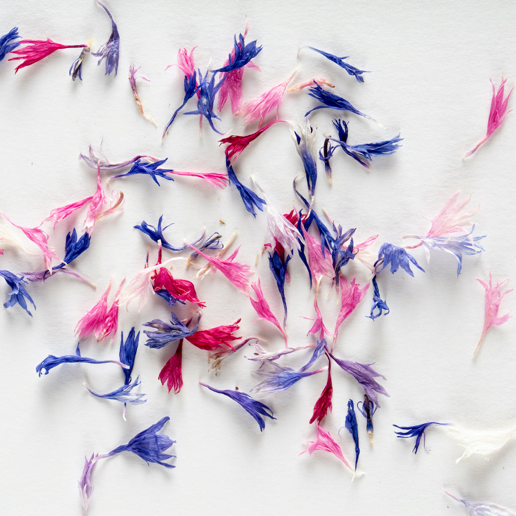Dried Edible Cornflower Petals in Mixed Colours Foraged Flavour