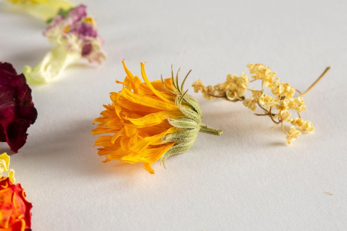 Dried Edible Flowers Seasonal Whole Flower Blend Foraged Flavour