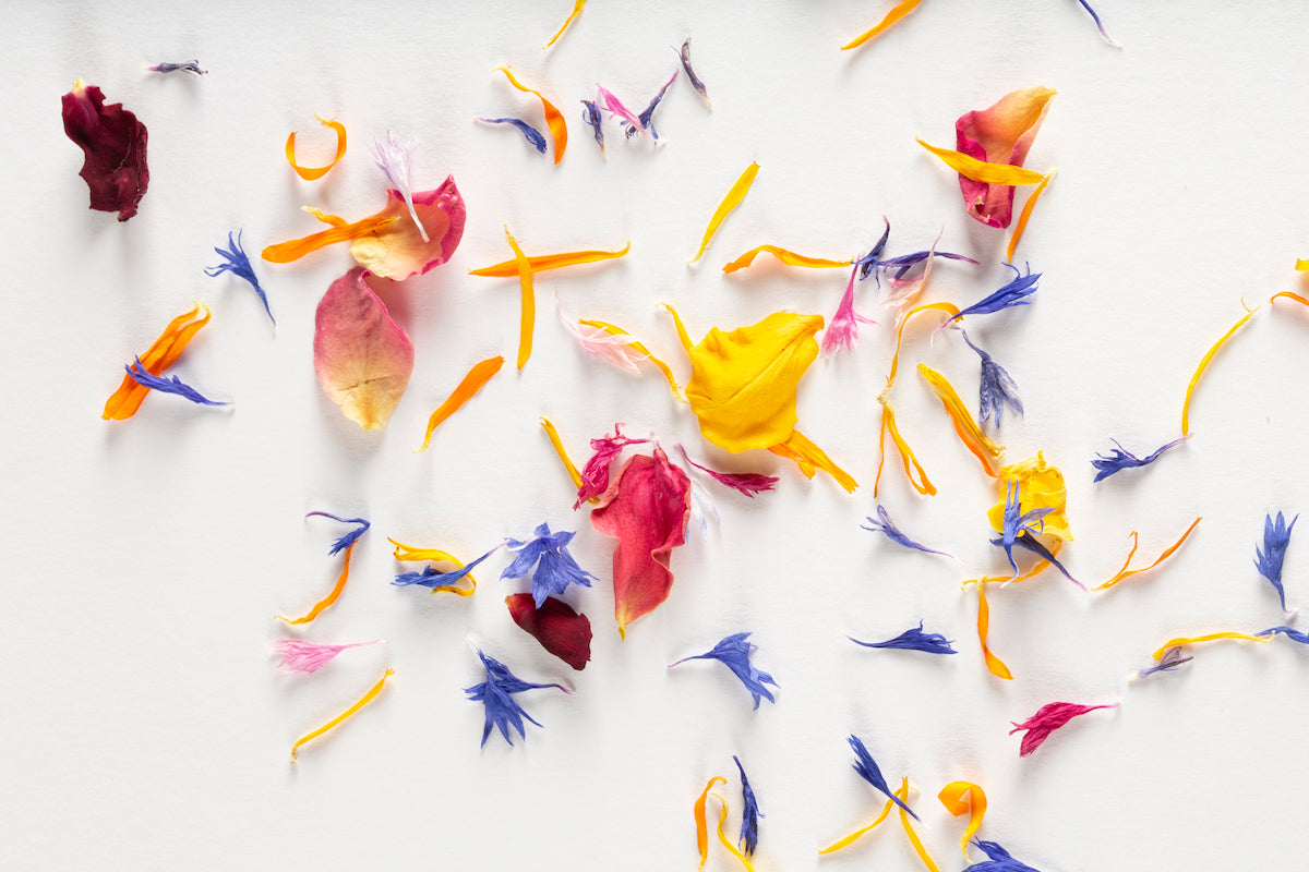 Flower Petal Confetti – Foraged Flavour Edible Flowers