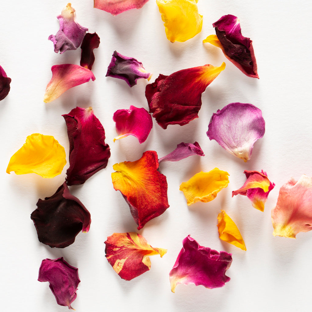 Rose Petals - Mixed Colours