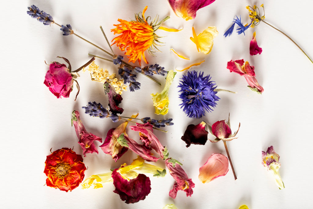 Dried Edible Flowers Seasonal Whole Flower Blend Foraged Flavour